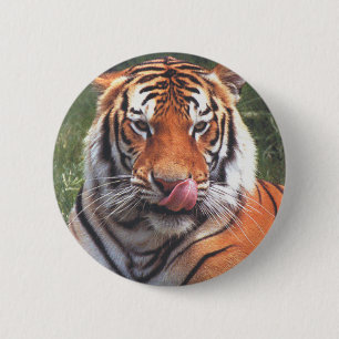 Badge Rond 5 Cm Tigre