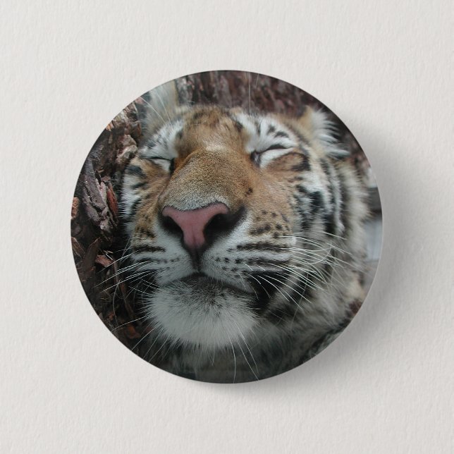 Badge Rond 5 Cm Tigre couchant (Devant)