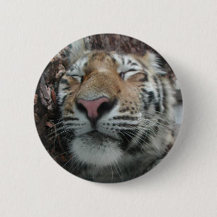 Badge Rond 5 Cm Tigre couchant