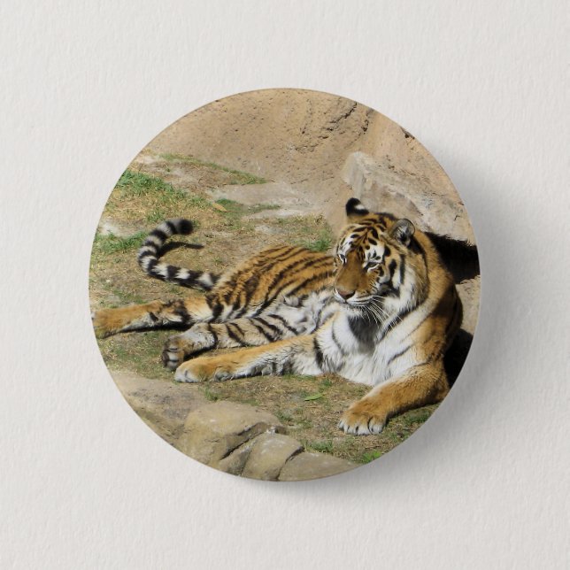 Badge Rond 5 Cm Tigre couchant (Devant)