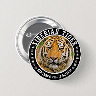 Badge Rond 5 Cm Tigre de Sibérie