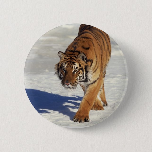 Badge Rond 5 Cm Tigre de vagabondage (Devant)