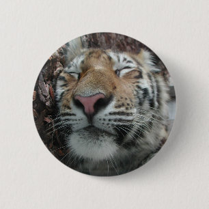 Badge Rond 5 Cm Tigre endormi
