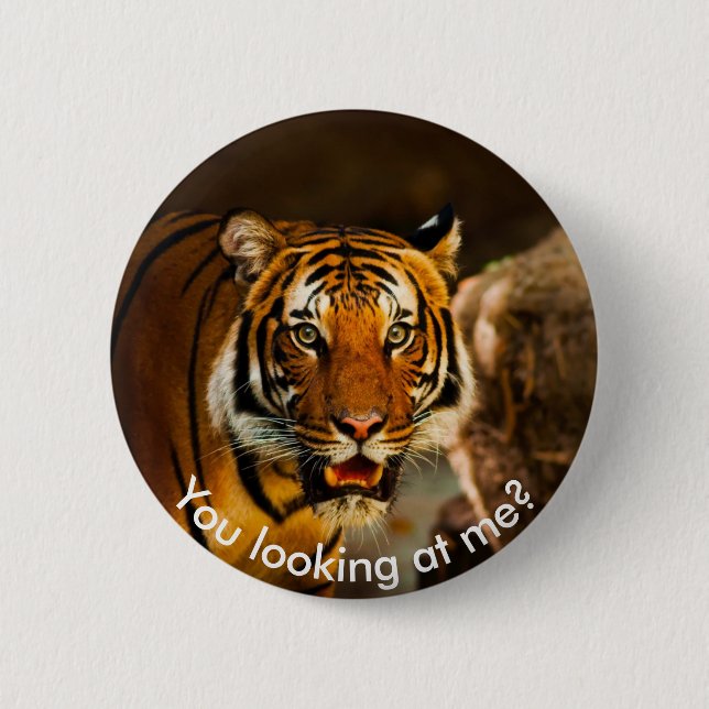 Badge Rond 5 Cm Tigre mou dans l'herbe (Devant)