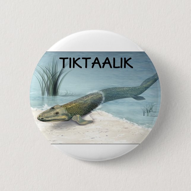 Badge Rond 5 Cm Tiktaalik (Devant)