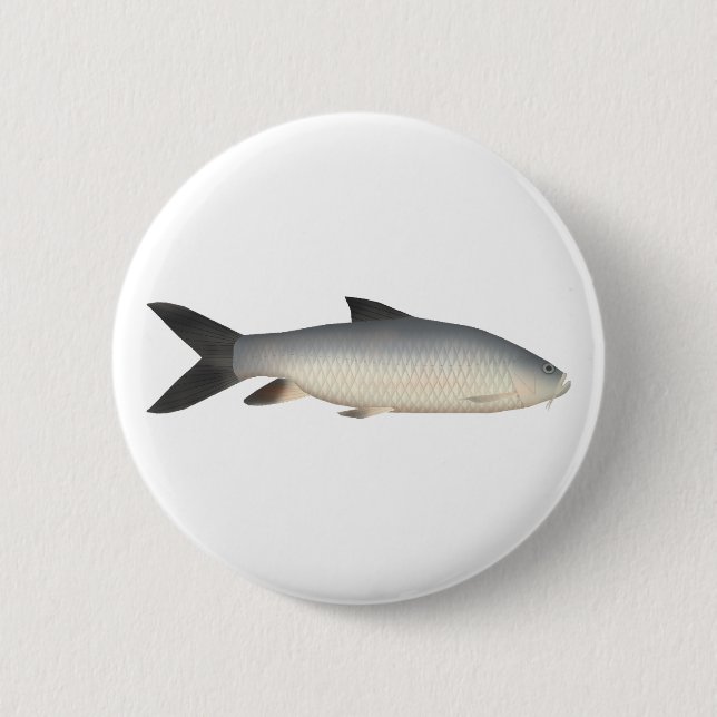 Badge Rond 5 Cm Tor Mahseer (Devant)