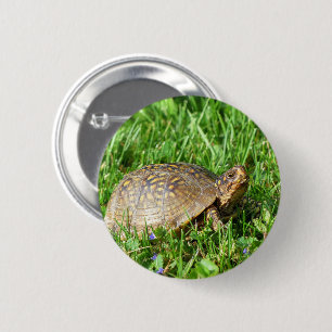 Badge Rond 5 Cm Tortue
