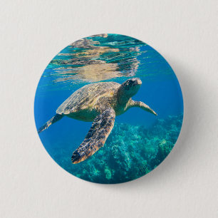 Badge Rond 5 Cm Tortue de mer