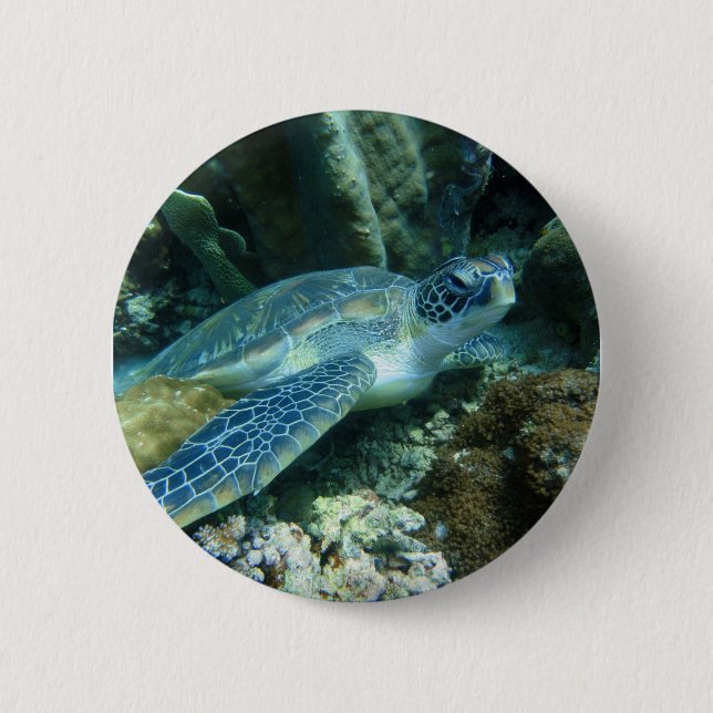 Badge Rond 5 Cm Tortue de mer sur la photo des fonds marins (Devant)