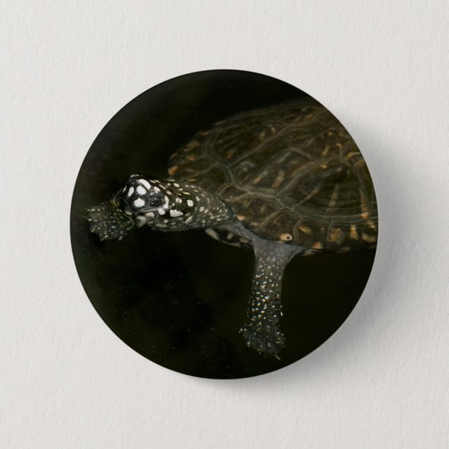 Badge Rond 5 Cm Tortue de natation (Devant)