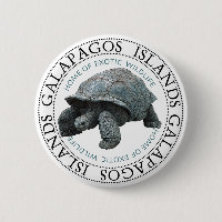 Tortue des îles Galapagos