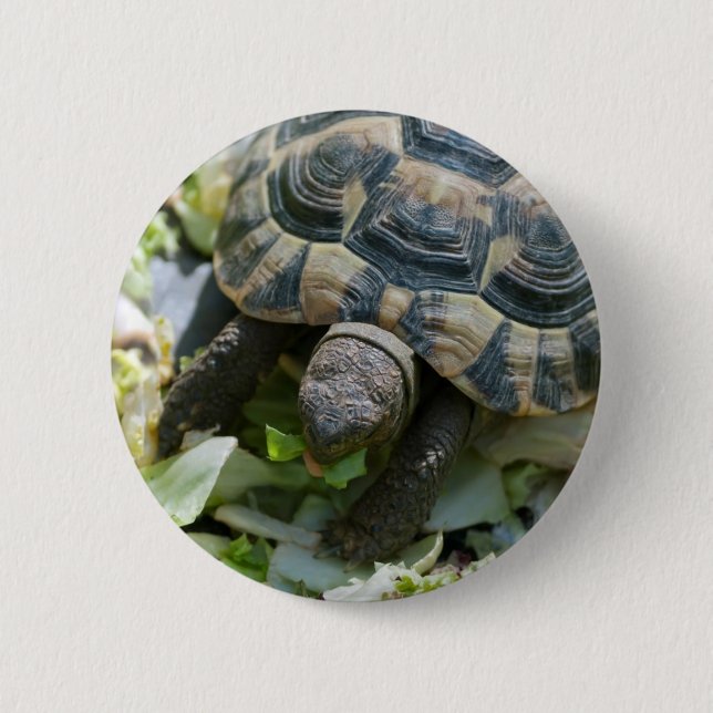 Badge Rond 5 Cm Tortue mignonne (Devant)