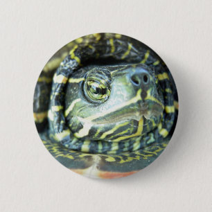 Badge Rond 5 Cm Tortue peinte (Chrysemys picta) 2
