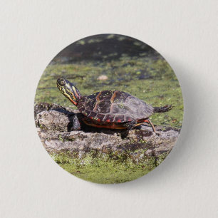 Badge Rond 5 Cm Tortue peinte orientale