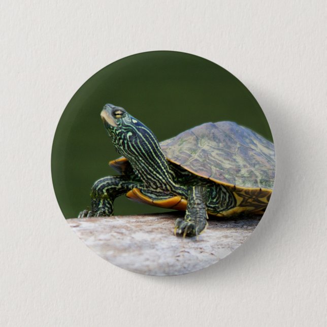 Badge Rond 5 Cm Tortue peinte sur un bûcher (Devant)