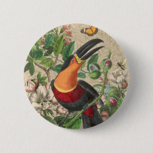 Badge Rond 5 Cm Toucan Jungle Tropical Bird Belle antique