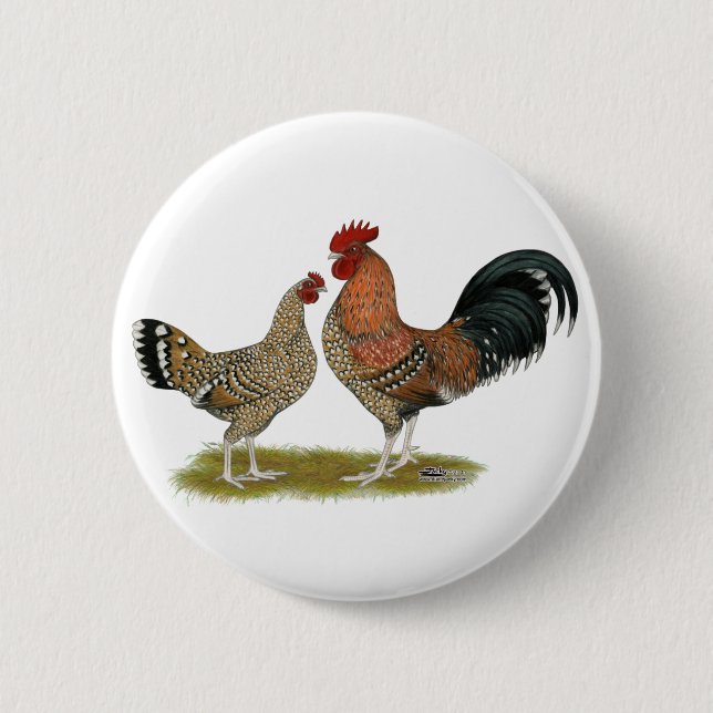 Badge Rond 5 Cm Tournaisis Bantams (Devant)