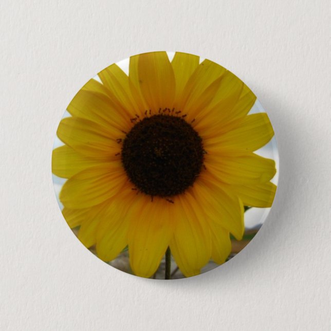 Badge Rond 5 Cm tournesol (Devant)