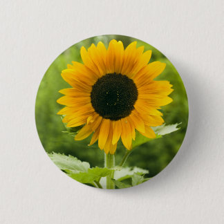 Badge Rond 5 Cm Tournesol