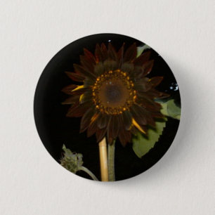 Badge Rond 5 Cm Tournesol foncé la nuit