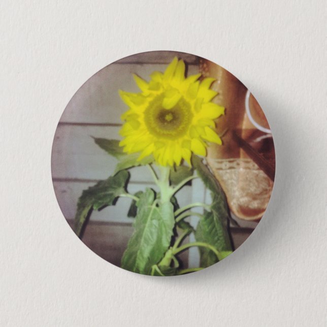 Badge Rond 5 Cm tournesol neuf dans l'après-midi (Devant)