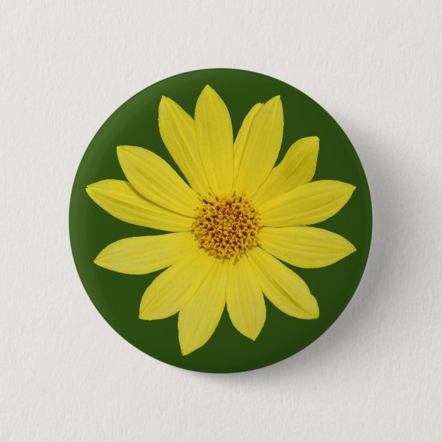 Badge Rond 5 Cm Tournesol "Reine du citron" de Helianthus (isolé) (Devant)