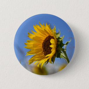 Badge Rond 5 Cm Tournesols ensoleillés