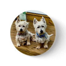 Transitoire et polaire