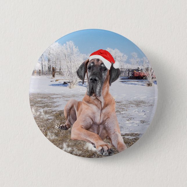 Badge Rond 5 Cm Très Beau Chien Danse Assis Dans Le Casquette De N (Devant)