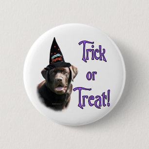 Badge Rond 5 Cm Trick Labrador Retriever (chocolat)