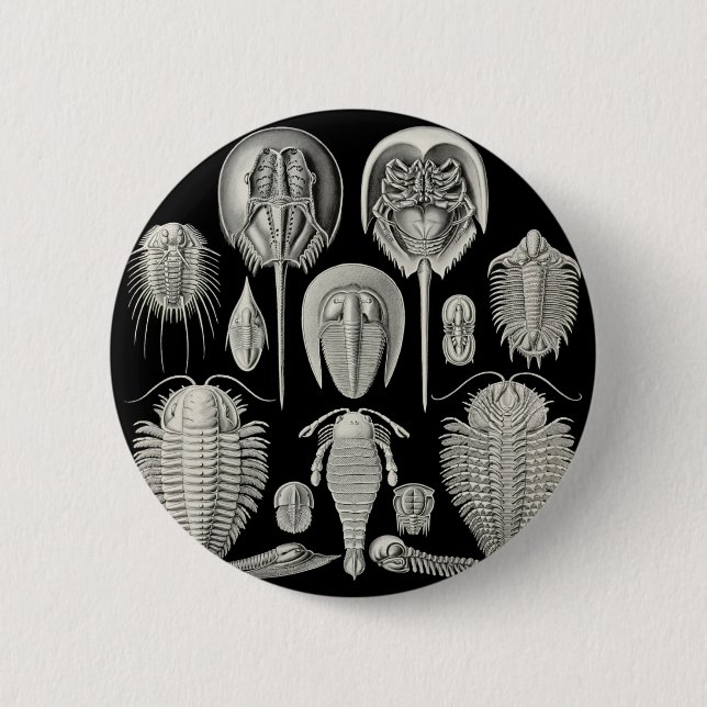 Badge Rond 5 Cm Trilobite ! (Devant)