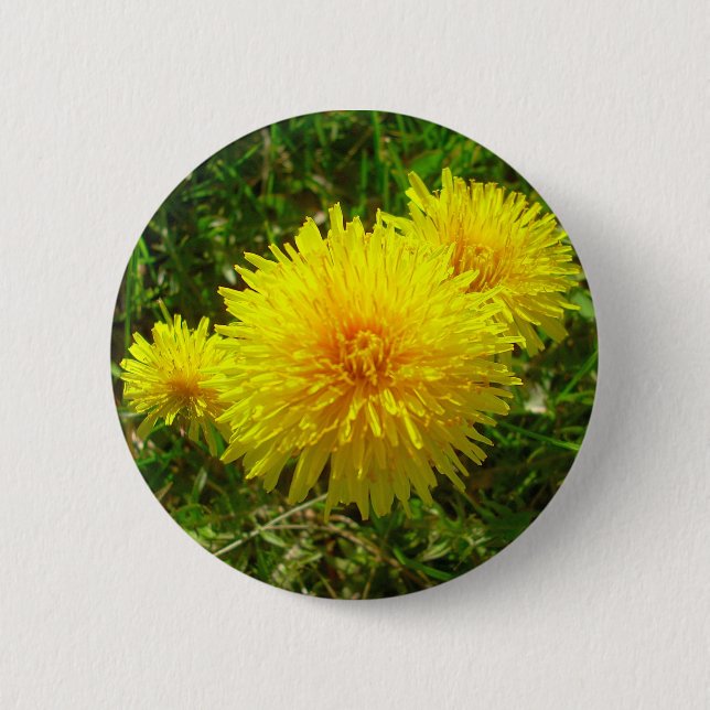 Badge Rond 5 Cm Trio de pissenlit (Devant)