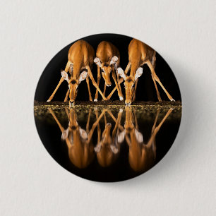 Badge Rond 5 Cm Trois impalas boivent ensemble la nuit