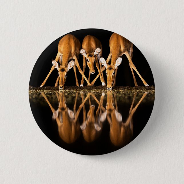 Badge Rond 5 Cm Trois impalas boivent ensemble la nuit (Devant)