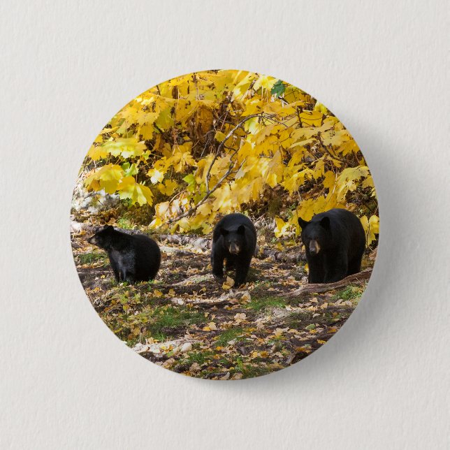 Badge Rond 5 Cm Trois ours (Devant)