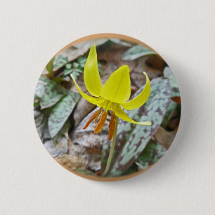Badge Rond 5 Cm Trout Lily Fleur sauvage - Erythronium americanum
