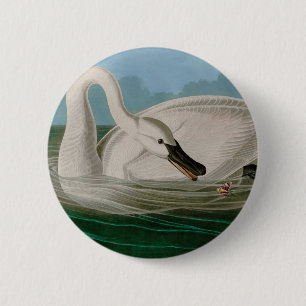 Badge Rond 5 Cm Trumpeter Swan Birds of America Audubon Imprimer