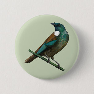 Badge Rond 5 Cm Tui New Zealands Bird