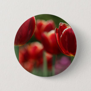 Badge Rond 5 Cm Tulipes