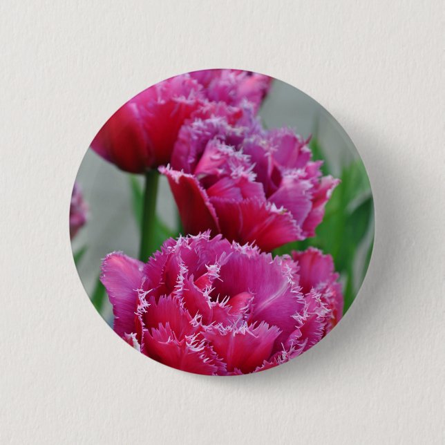 Badge Rond 5 Cm Tulipes à perroquets roses (Devant)