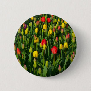 Badge Rond 5 Cm Tulipes colorées