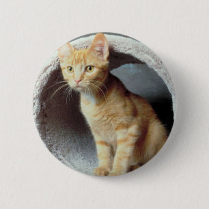 Badge Rond 5 Cm Tunnel de lecture Kitten