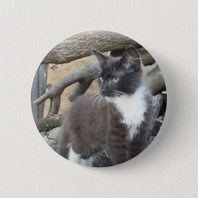Badge Rond 5 Cm Tuxedo Kitten (Devant)