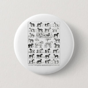 Badge Rond 5 Cm Types vintages De Chevaux Cheval Élevage Horseback