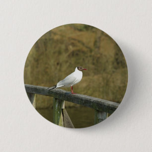 Badge Rond 5 Cm Un bouton sterne