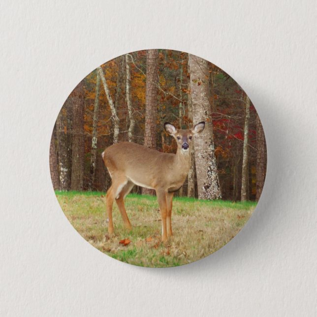 Badge Rond 5 Cm Un cerf de rêve de chasseur (Devant)