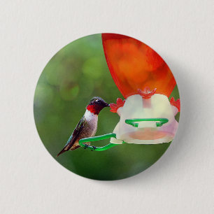 Badge Rond 5 Cm Un colibri à gorge rubis