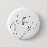 Un colibri sur un bâton