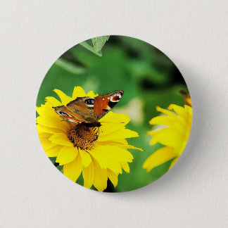 Badge Rond 5 Cm Un papillon paon - Bouton