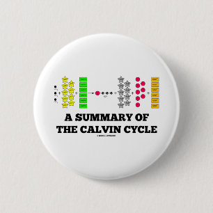 Badge Rond 5 Cm Un résumé du cycle de Calvin (photosynthèse)